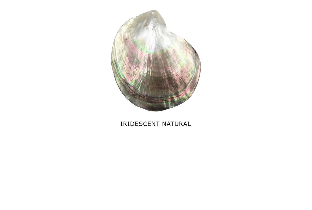 SP1278 Large Shell Pendant 90mm