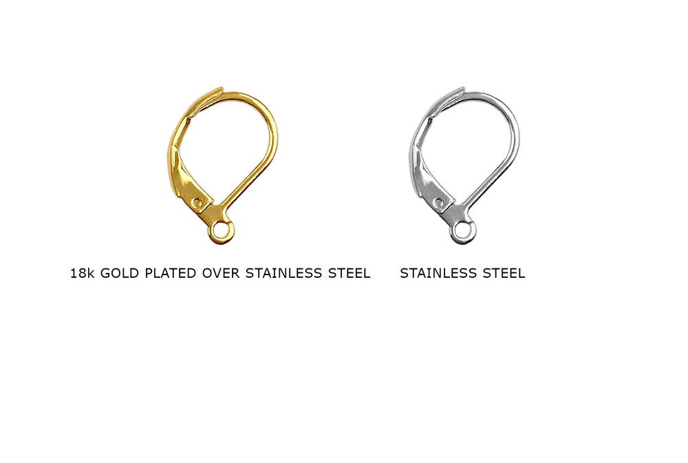 SSP1164 Stainless Steel Earring Hoop