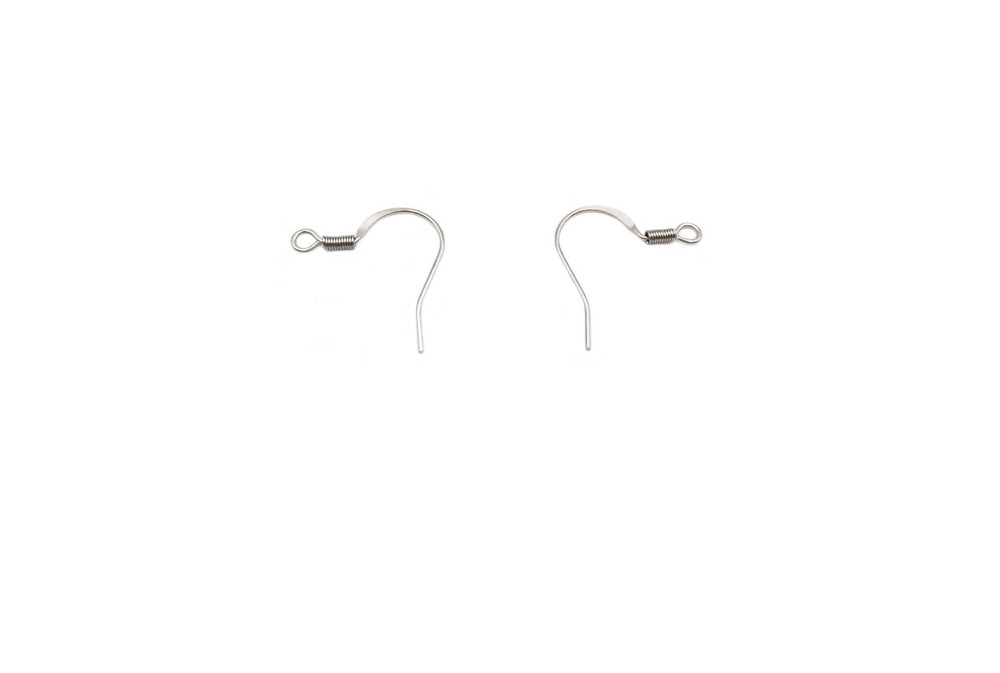 SSP1165 Stainless Steel Ear Hook