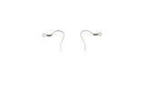 SSP1165 Stainless Steel Ear Hook
